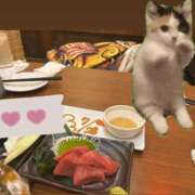 ヒメ日記 2025/07/30 04:53 投稿 らん タレントCLUB