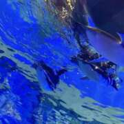 ヒメ日記 2025/08/15 02:32 投稿 らん タレントCLUB