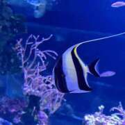 ヒメ日記 2025/11/01 12:33 投稿 らん タレントCLUB