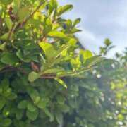 ヒメ日記 2025/11/24 09:42 投稿 らん タレントCLUB