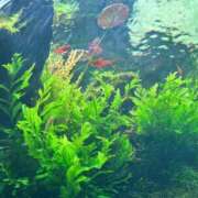 ヒメ日記 2025/11/25 13:31 投稿 らん タレントCLUB