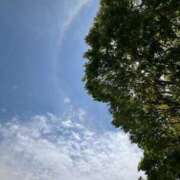 ヒメ日記 2025/06/25 16:46 投稿 あい マリン千姫