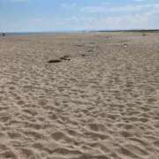 ヒメ日記 2025/09/12 20:52 投稿 あい マリン千姫