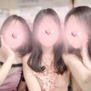 ヒメ日記 2025/11/15 20:15 投稿 みほ VIVIDCREW十三店