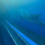 ヒメ日記 2025/05/10 14:00 投稿 八乙女 錦糸町おかあさん