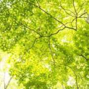 ヒメ日記 2025/05/11 14:30 投稿 八乙女 錦糸町おかあさん