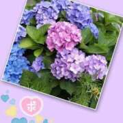 ヒメ日記 2025/06/16 12:20 投稿 八乙女 錦糸町おかあさん