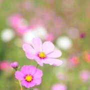 ヒメ日記 2025/06/17 12:31 投稿 八乙女 錦糸町おかあさん