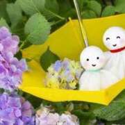 ヒメ日記 2025/06/24 09:20 投稿 八乙女 錦糸町おかあさん