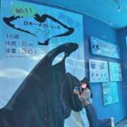 ヒメ日記 2025/06/27 20:05 投稿 ここね〔VIP〕対応 aQua～アクア～（金津園）