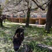 ヒメ日記 2025/04/10 16:16 投稿 かずき 熟女の風俗最終章 新宿店