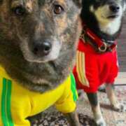 ヒメ日記 2025/04/19 21:02 投稿 かずき 熟女の風俗最終章 新宿店