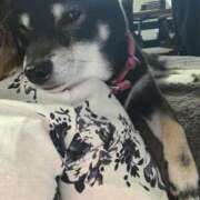 ヒメ日記 2025/05/26 11:10 投稿 かずき 熟女の風俗最終章 新宿店