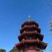 ヒメ日記 2025/12/28 11:37 投稿 かずき 熟女の風俗最終章 新宿店