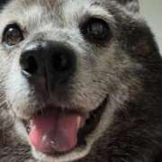 かずき 本指のお客様、寒い中ご予約有難う御座います 熟女の風俗最終章 新宿店