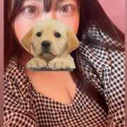 ヒメ日記 2025/06/20 18:47 投稿 ここな One More 奥様　五反田店