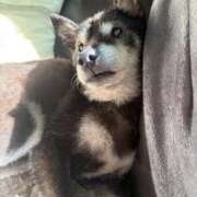 ヒメ日記 2025/03/23 13:53 投稿 かずき 熟女の風俗最終章 池袋店