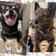 ヒメ日記 2025/03/24 19:07 投稿 かずき 熟女の風俗最終章 池袋店