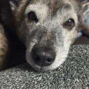 ヒメ日記 2025/12/31 00:23 投稿 かずき 熟女の風俗最終章 池袋店