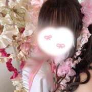 ヒメ日記 2025/04/15 11:00 投稿 神宮寺　まい 川崎南町人妻高級ソープ エル・カーヒル(ELCURHIL)秘密の刻