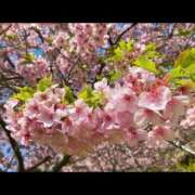 めるる おはようございます💖 横浜ハッピーマットパラダイス