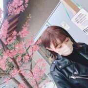 ヒメ日記 2025/03/29 00:29 投稿 せりな 新宿プチドール