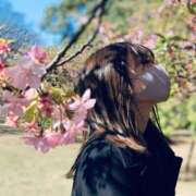 ヒメ日記 2025/04/05 16:39 投稿 せりな 新宿プチドール