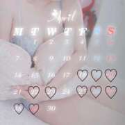 ヒメ日記 2025/04/18 00:19 投稿 せりな 新宿プチドール