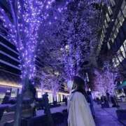 ヒメ日記 2025/04/23 06:49 投稿 せりな 新宿プチドール