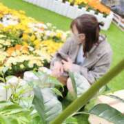 ヒメ日記 2025/05/06 22:29 投稿 せりな 新宿プチドール