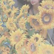 ヒメ日記 2025/09/20 07:49 投稿 せりな 新宿プチドール