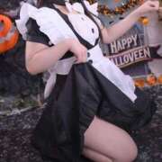 ヒメ日記 2025/10/09 13:19 投稿 せりな 新宿プチドール