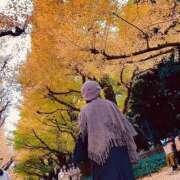 ヒメ日記 2025/12/04 09:49 投稿 せりな 新宿プチドール