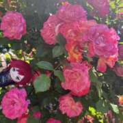 ヒメ日記 2025/07/25 17:00 投稿 みこ 巨乳痴女専門店 萌えの隣人 新宿店