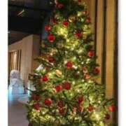 ヒメ日記 2025/12/22 12:29 投稿 藤田 美月 ELEGANCE