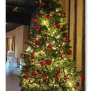 ヒメ日記 2025/12/22 12:39 投稿 藤田 美月 ELEGANCE