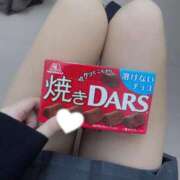 ヒメ日記 2025/05/11 00:01 投稿 カヤ マテリアル