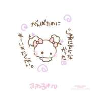 ヒメ日記 2025/05/31 17:46 投稿 カヤ マテリアル