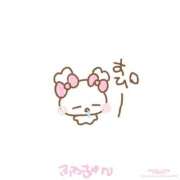 ヒメ日記 2025/06/15 09:31 投稿 カヤ マテリアル