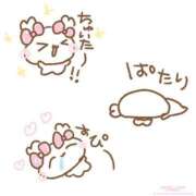 ヒメ日記 2025/07/19 23:31 投稿 カヤ マテリアル