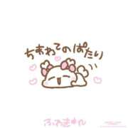 ヒメ日記 2025/09/26 12:16 投稿 カヤ マテリアル