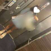 ヒメ日記 2025/09/27 13:16 投稿 カヤ マテリアル