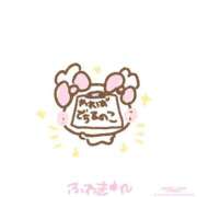 ヒメ日記 2025/09/29 21:31 投稿 カヤ マテリアル