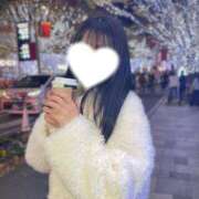 ヒメ日記 2025/11/18 20:46 投稿 カヤ マテリアル