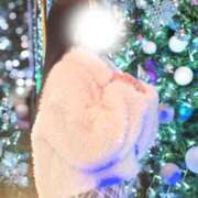 ヒメ日記 2025/11/23 11:16 投稿 カヤ マテリアル