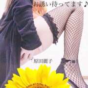 ヒメ日記 2025/03/18 17:55 投稿 原田麗子 五十路マダム 沼津店(カサブランカグループ)