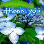 ヒメ日記 2025/06/04 11:31 投稿 原田麗子 五十路マダム 沼津店(カサブランカグループ)