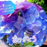 ヒメ日記 2025/06/04 17:51 投稿 原田麗子 五十路マダム 沼津店(カサブランカグループ)