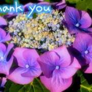 ヒメ日記 2025/06/05 21:35 投稿 原田麗子 五十路マダム 沼津店(カサブランカグループ)