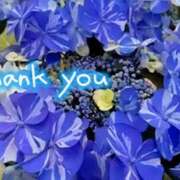 ヒメ日記 2025/06/05 21:49 投稿 原田麗子 五十路マダム 沼津店(カサブランカグループ)